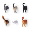 Cat Butt Magnets
