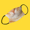 MAKE Original - Orange Tabby Cat - Adjustable Face Mask with Filter ADULT