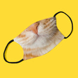 Orange Tabby Cat Adjustable Make Original Face Mask with Filter ADULT