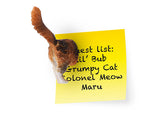 Cat Butt Magnets