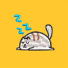 Sleepy Cat MAKE Original Charcoal Chino Cap